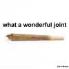 Eek-A-Mouse - What a Wonderful Joint