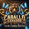 Talim、Gordomaster - Caballo Ganador