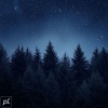 Chase Beats、bedroom lofi - lost in the evergreens