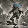 Triz - ok (Explicit)