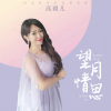 高圆儿 - 望月情思