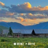 崔老板 - 金典火花