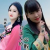 杨晶晶、山歌敏儿 - 打工人的心酸