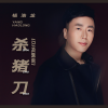 杨浩龙 - 杀猪刀 (DJ何鹏版)
