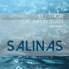 D.J. Thor、Aaron Tesser - Salinas (D.J. Thor Afro Remix)