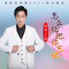 王春 - 怎么能把你忘记