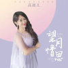 高圆儿 - 望月情思 (DJ小刚版)