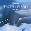 Disney Peaceful Piano、Disney - I Wonder