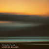 Project AER、v i v - Spaces Between