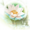 妙蓮華 - 蓮語的呢喃