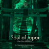 DJ TORA、DAISHI DANCE、Shadw、Van Hoick - SOUL OF JAPAN (Van Hoick REMIX)