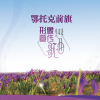 阿力腾花儿 - 我的家乡