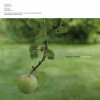 OZMOTIC、Fennesz - Senzatempo