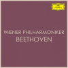 Wiener Philharmoniker、Leonard Bernstein - Overture