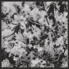 Ben Richter、House On Fire - The Wild (feat. House on Fire)