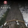 カノン - あおのうた