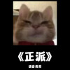 语音表哥 - 正派