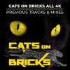 CATS ON BRICKS、Zach Alwin - Live It Up (Deep House Mix)