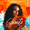 BAYZY、Jordan Rys、Swizznife、Hard Lights - Señorita