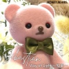 竹本英史、HONEY BEARS. - Way of Light～紅葉～