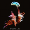 Sub Focus、Hayla - I Found You (Prospa Remix)
