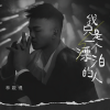 林啟得 - 我只是一个漂泊的人 (DJ九零版)