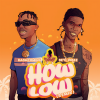 Kashcoming、Seyi Vibez - How Low (Remix|Explicit)