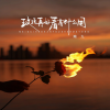 陶九 - 玫瑰再好看有什么用