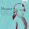 Florian Heyerick、Kurpfälzisches Kammerorchester Mannheim - I. Allegro