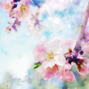 Tsunenori - Spring Day