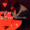 王一佳 - 心碎爱酒杯眼泪爱烟灰DJ阿卓 (DJ版)