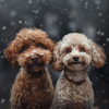 Gentle Pet Calm、Pet Calmness、Soft Pet Music - Soothing Pet Relaxation Tunes