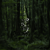 菅原圭 - 深香