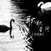 沈绾墨 - 耿耿星河