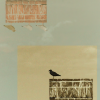 lemos - Black Bird