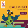 Familie Sonntag - Sommer-Sonnen-Rock'n'Roll