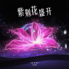 双生菌 - 紫荆花盛开 (回归版)