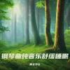 青文学长 - 重度失眠者必听 强效催眠曲