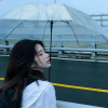 zyy - 我的梦