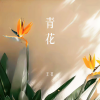 王茗 - 青花 (Live版)