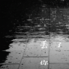 小井 - 丢了你 (就这样弄丢了你)