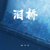向文涛 - 泪桥 (治愈男声版)