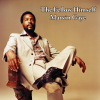 Marvin Gaye - (I'm Afraid) The Masquerade Is Over