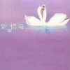 王菲 - 天空