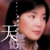 邓丽君 - 小城故事