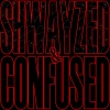 Shwayze - Roaming
