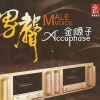 江智民 - 错过的情人