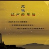 央金兰泽 - 爱琴海