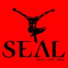 Seal - Crazy (William Orbit Mix)