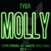 Tyga、Wiz Khalifa、Mally Mall、Cedric Gervais - Molly